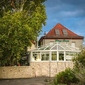 2* Guest house Zum Gruenen Baum Frankfurt Airport